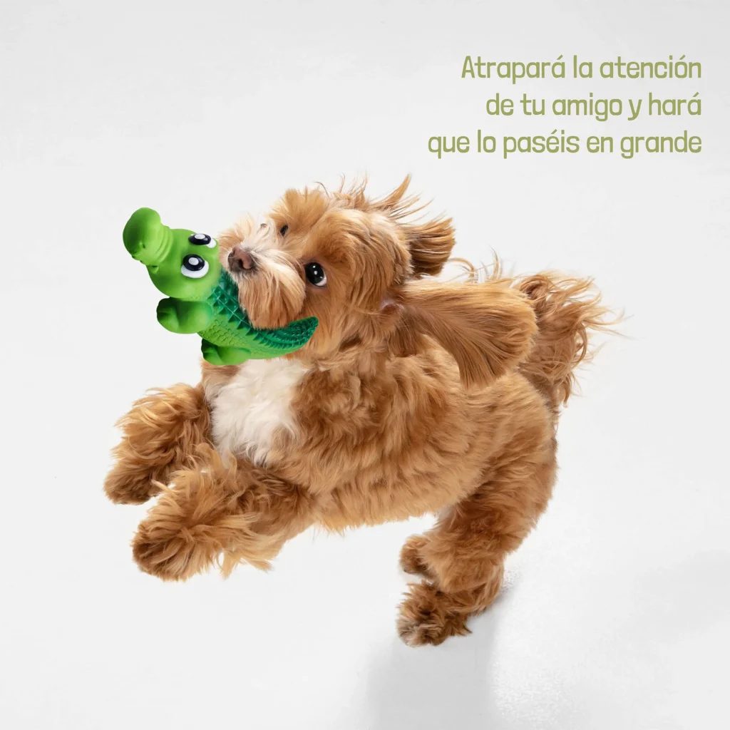 Accesorios interactivos Mascotas AZestudio360