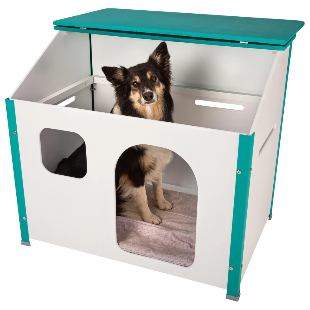 Productos para mascotas AZestudio360